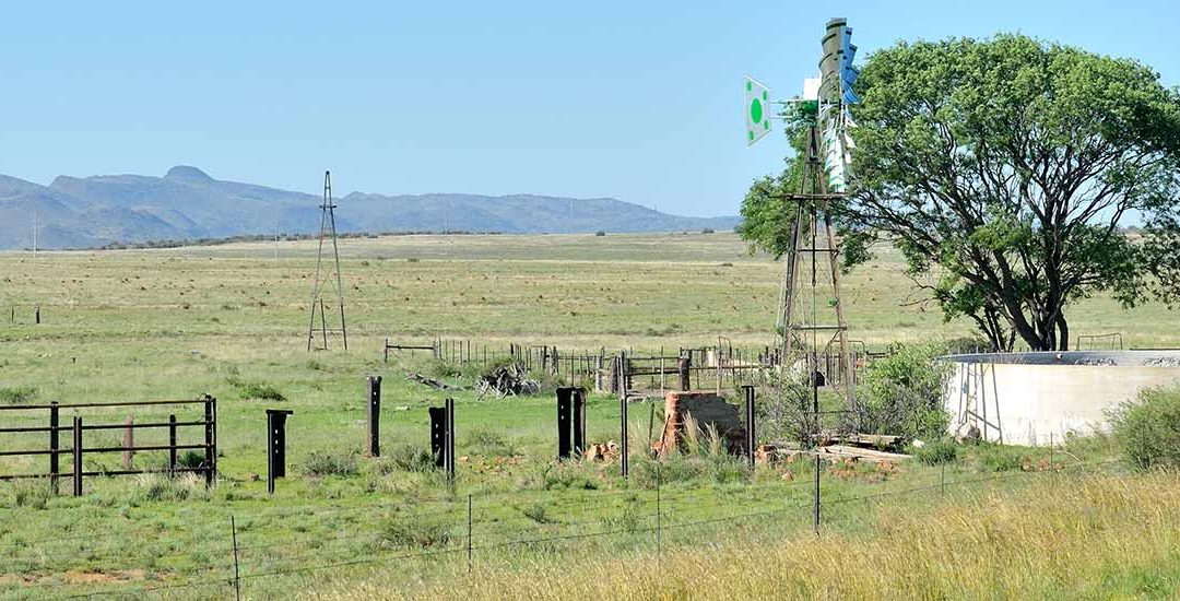 Cement Dams and Fish Ponds